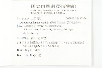 頭狀四照花藏品圖，第2張