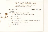 登錄號:S137359藏品圖，第2張