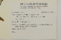 登錄號:S137376藏品圖，第2張