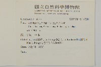 登錄號:S137381藏品圖，第2張