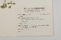 登錄號:S137383藏品圖，第2張