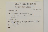 登錄號:S137396藏品圖，第2張