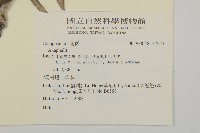 登錄號:S137443藏品圖，第2張