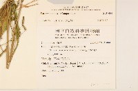 登錄號:S137444藏品圖，第2張