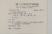 灰薊藏品圖，第2張