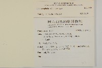 登錄號:S137450藏品圖，第2張