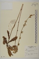 登錄號:S137454藏品圖，第1張