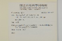 登錄號:S137474藏品圖，第2張