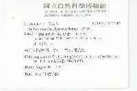 山景天藏品圖，第2張