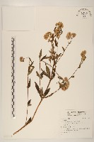 登錄號:S137511藏品圖，第1張