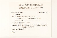 登錄號:S137511藏品圖，第2張