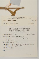 登錄號:S137528藏品圖，第2張