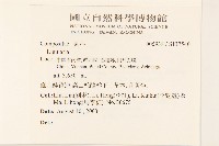 雲南橐吾藏品圖，第2張