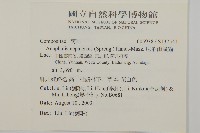 尼泊爾籟簫藏品圖，第2張