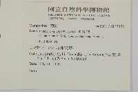 登錄號:S137558藏品圖，第2張