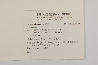 登錄號:S137580藏品圖，第2張