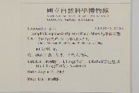 尼泊爾籟簫藏品圖，第2張