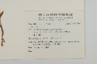 登錄號:S137590藏品圖，第2張