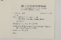 登錄號:S137598藏品圖，第2張