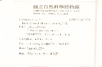 兔仔菜藏品圖，第2張