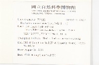 短梗土丁桂藏品圖，第3張