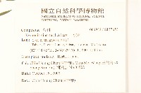 一枝香藏品圖，第2張