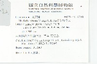 壯健紅景天藏品圖，第2張