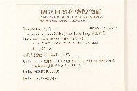厚葉木香藏品圖，第2張