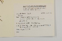 登錄號:S137730藏品圖，第2張