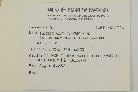 登錄號:S137776藏品圖，第2張