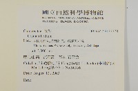 登錄號:S137778藏品圖，第2張