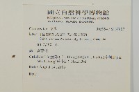 登錄號:S137807藏品圖，第2張