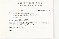 滇黃芩藏品圖，第2張