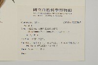 登錄號:S137847藏品圖，第2張