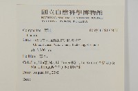 登錄號:S137857藏品圖，第2張