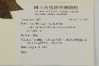 登錄號:S137864藏品圖，第2張