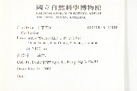 登錄號:S137889藏品圖，第2張