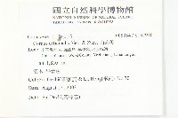 山茱萸藏品圖，第2張