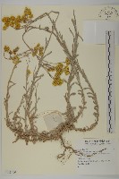 登錄號:S138000藏品圖，第1張