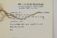 登錄號:S138000藏品圖，第2張