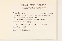 短薴飛蓬藏品圖，第2張