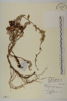 登錄號:S138027藏品圖，第1張