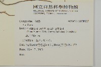 登錄號:S138027藏品圖，第2張