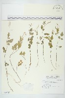 登錄號:S138028藏品圖，第1張