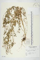 登錄號:S138090藏品圖，第1張