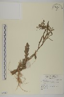 登錄號:S138097藏品圖，第1張