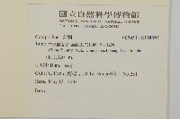 登錄號:S138097藏品圖，第2張