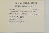 玉山抱莖籟簫藏品圖，第2張