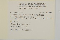 玉山抱莖籟簫藏品圖，第2張