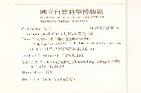 嶺南野菊藏品圖，第2張